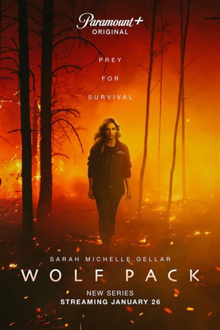 Is Wolf Pack Season 2 Cancelled?