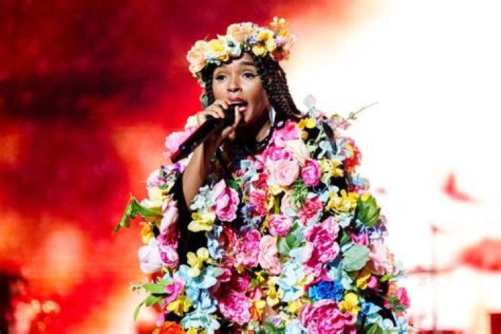 Janelle Monáe Flashes Breast At Essence Music Festival Show