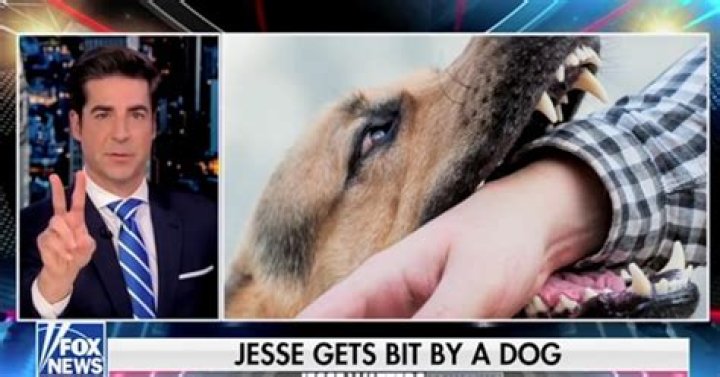Jesse Watters Claims He Was Bitten in the Crotch by a Dog Over Thanksgiving Break