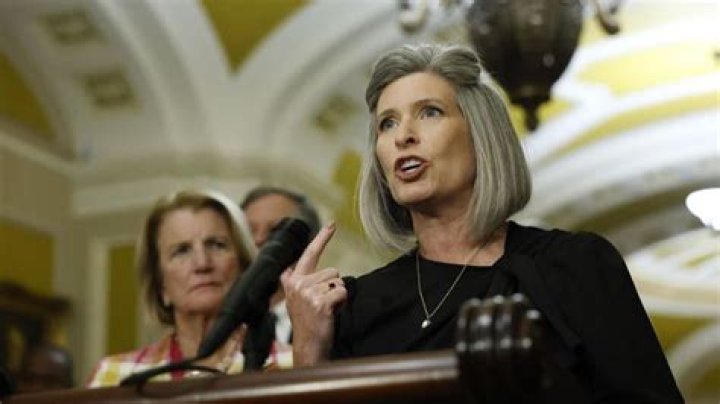 Joni Schmitt Obituary (1956 - 2022) - Pittsburgh, PA