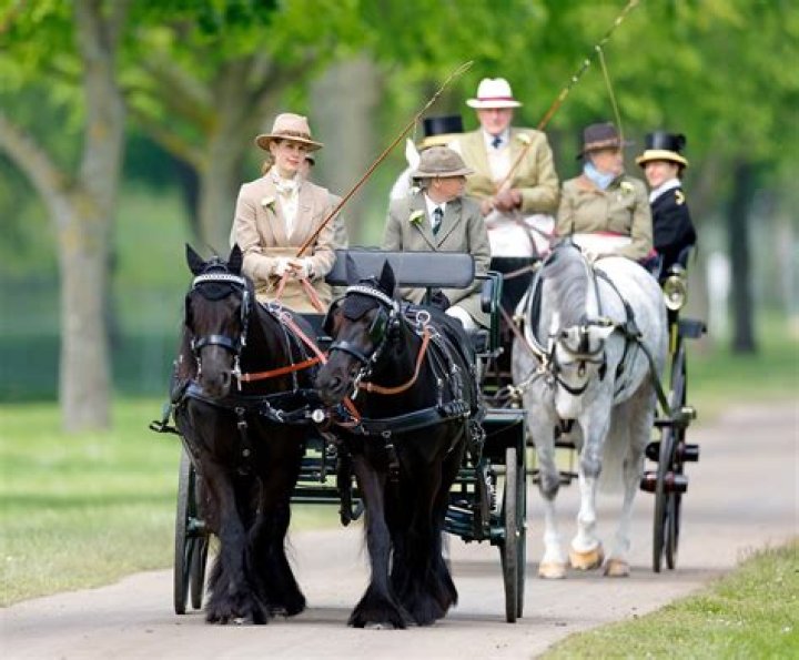 Lady Louise Windsor drives the carriage that belonged to her grandfather Prince Philip