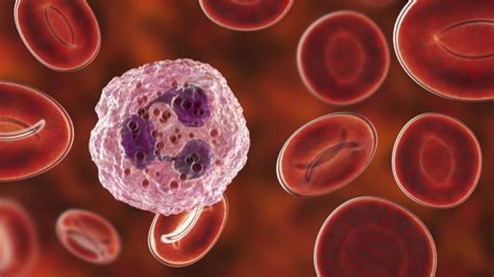 Laser Beams Let Scientists Hack Immune Cells and Control Them Like Robots