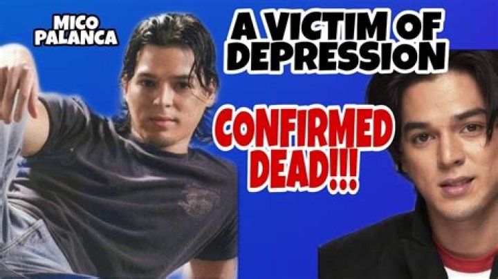 Mico Palanca Depression: When Did The Depression Begin? Why Did He Commit Suicide?