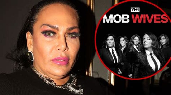 'Mob Wives' Star Renee Graziano Denies Taking Drugs Before Car Crash!!