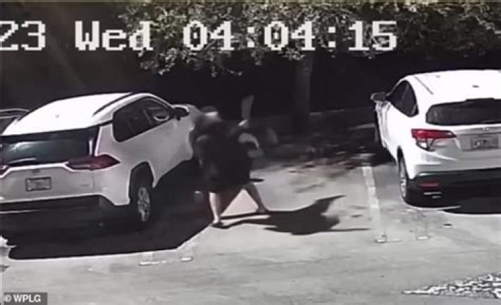 Moment knife-wielding man launches attack at ex-MMA fighter - only to be thrown to the ground and pinned down in a chokehold