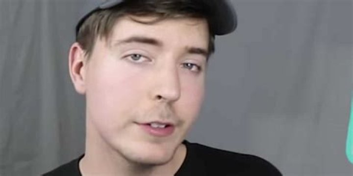 Mr Beast Wiki Bio, net worth, age, brother, girlfriend, family