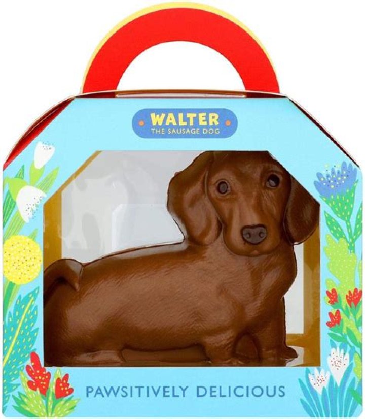 M&S delights fans by launching an adorable £5 milk chocolate sausage dog called Walter for Easter