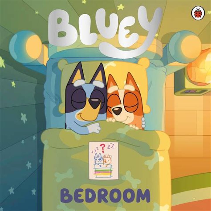 Mum’s epic Bluey bedroom makeover