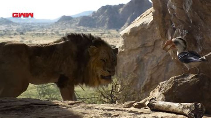 'My whole childhood was a lie': TikTok users debate whether Scar ATE Mufasa in The Lion King 
