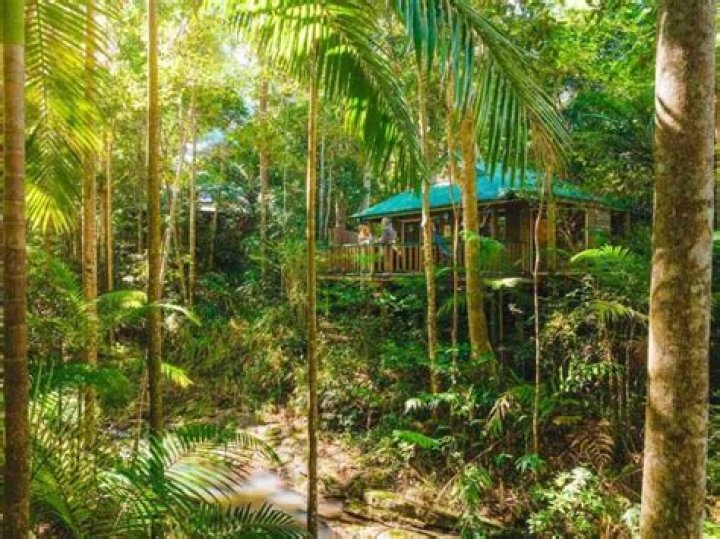 Narrows Escape Rainforest Retreat in Australia is crowned most romantic in the world by Tripadvisor