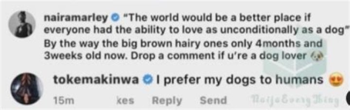 Netizens reacts over Toke Makinwa’s statement: “I prefer my dogs to humans”