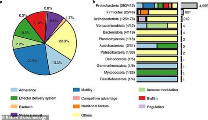 Never-before-seen microbes locked in Tibetan glaciers could spark a wave of new pandemics