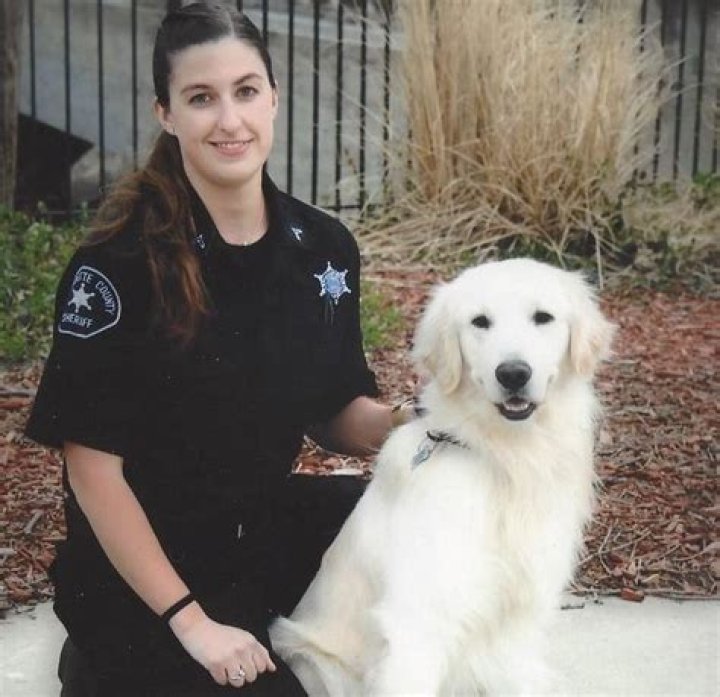 Officers Kill Naked Burglary Suspect Who Stabbed Beloved Police Dog ‘Jedi’ to Death – Crime Online