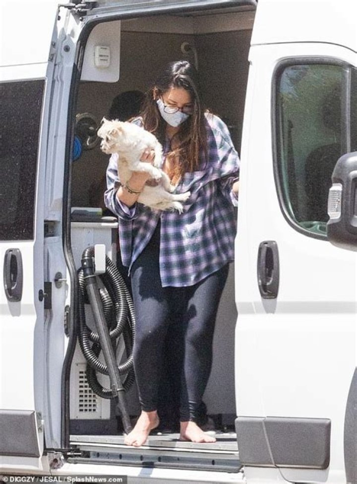 Olivia Munn goes barefoot to get her beloved dogs groomed outside her LA home