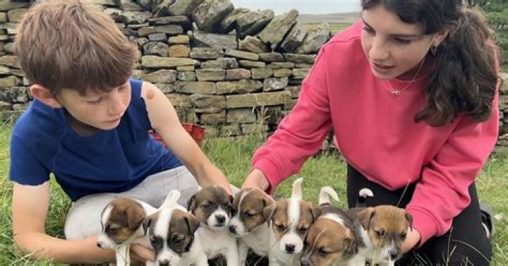 Our Yorkshire Farm's Amanda Owen delights fans with adorable puppy update