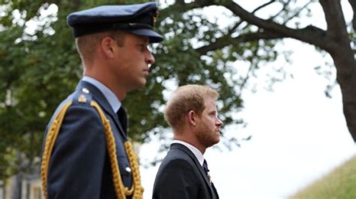Prince Harry Claimed The Royal Family Lied To Protect Prince William During Megxit