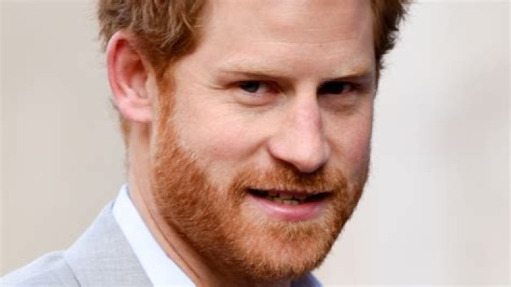 Prince Harry Gets Bittersweet News About His Legal Case