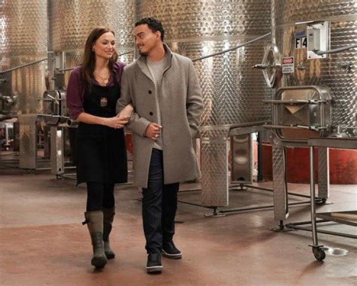 ‘Promised Land’ Premieres on ABC Tonight – Meet The Full Cast Now!