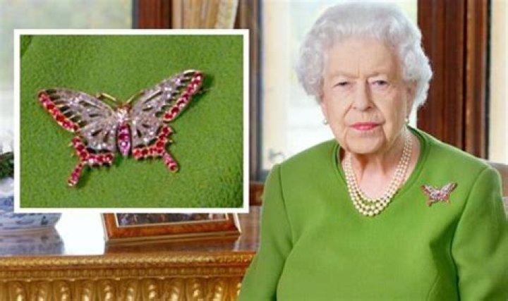 Queen's diamond and ruby butterfly brooch for Cop26 speech has link to Prince Philip