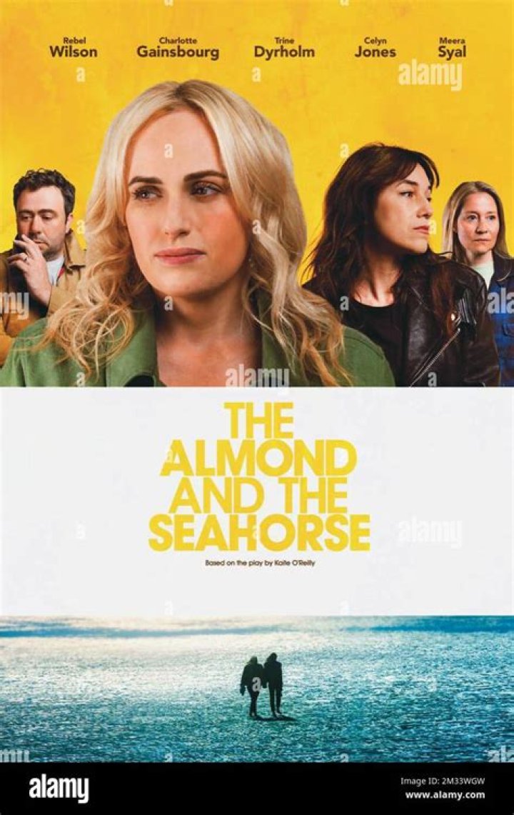 Rebel Wilson films fight scene for her new movie The Almond And The Seahorse