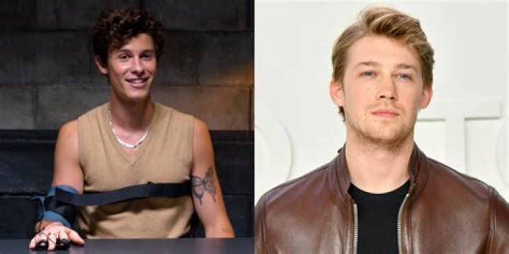 Shawn Mendes Had a Lot to Say About Joe Alwyn During a Lie Detector Test – Watch Now!