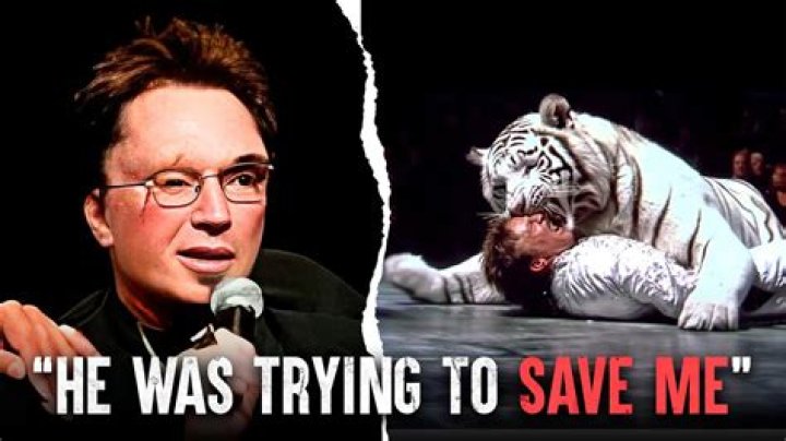 Siegfried And Roy Tiger Attack: Watch The Video - Where Is Roy Horn Now?