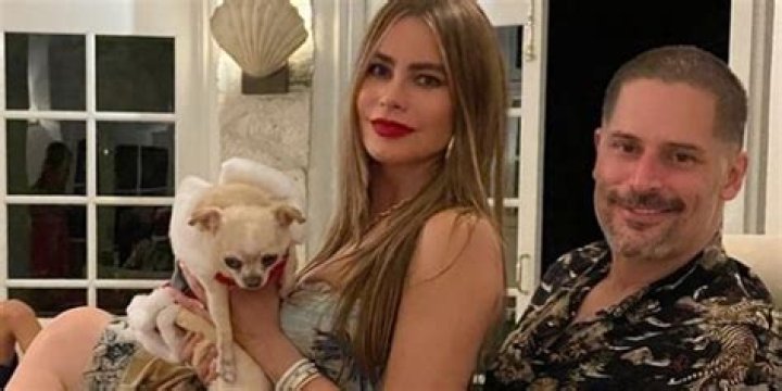 Sofia Vergara Reveals Dog Bubbles Is Very Possessive of Husband Joe Manganiello: 'She Hates Me'