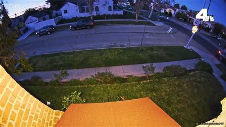 Surveillance Video Shows the Moment Dad Is Shot Dead While Walking Dog: Reports – Crime Online