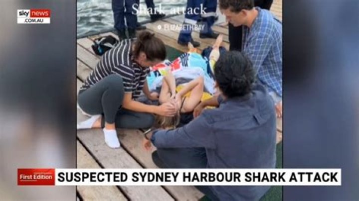 Sydney shark attack victim identified as chilling video emerges from Little Bay