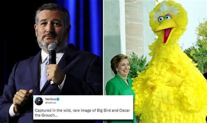 Ted Cruz calls Hillary Clinton 'Oscar the Grouch' in response to her defending Big Bird