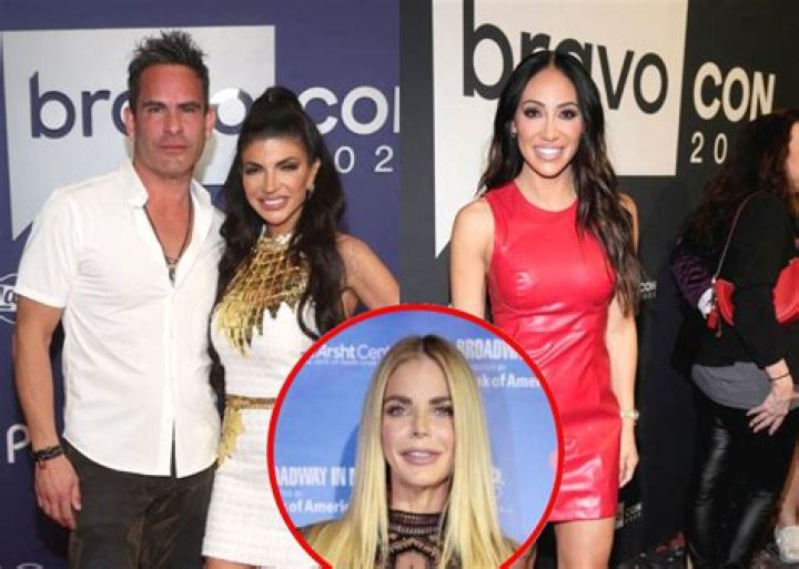 Teresa Giudice Accuses Melissa Gorga of Starting Luis Rumor
