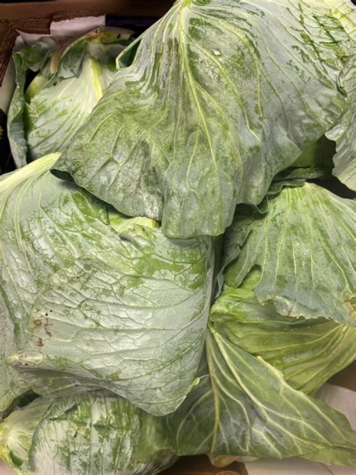 Terra Horton Obituary: She Was A Victim Of Gun Violence In Little Rock Arkansas, Here Is What Happened To Her￼