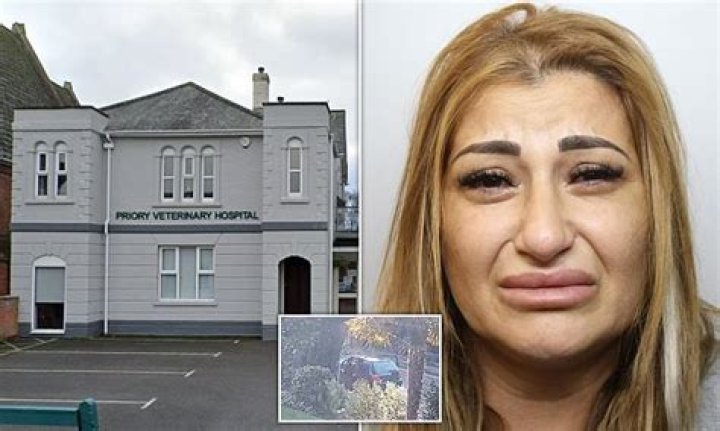 The Rolex Rippers are back! Police fear all-woman gang of distraction thieves could have returned