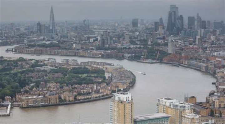 There Are Sharks In The River Thames