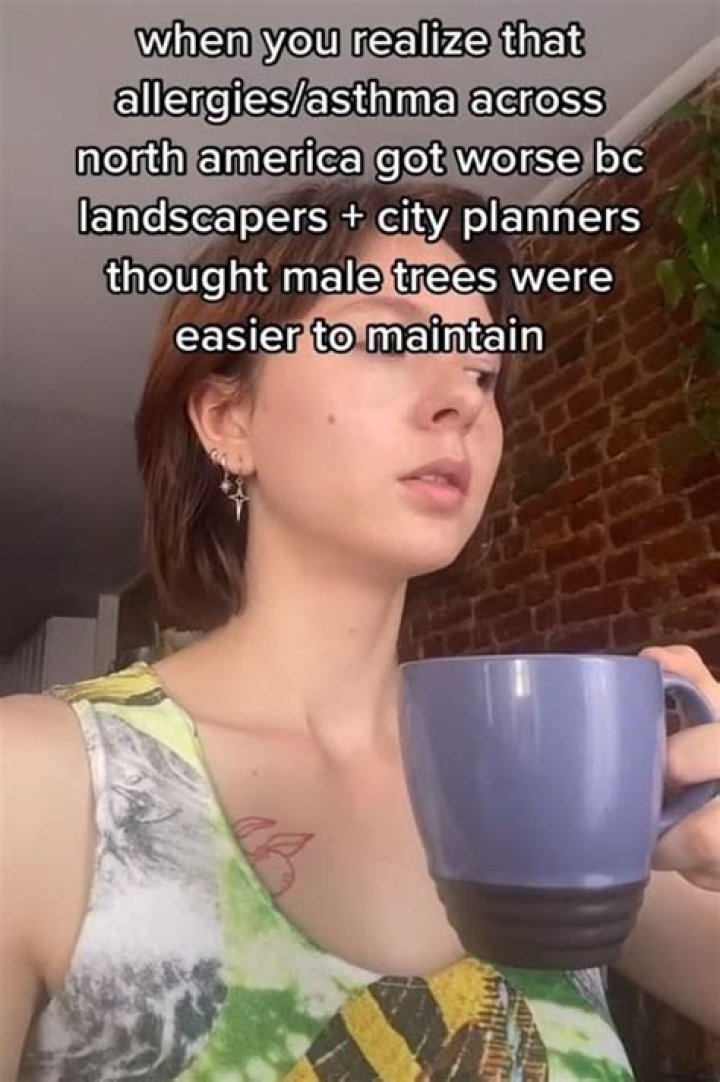 TikTok video blaming 'botanical sexism' for worsening allergies goes viral