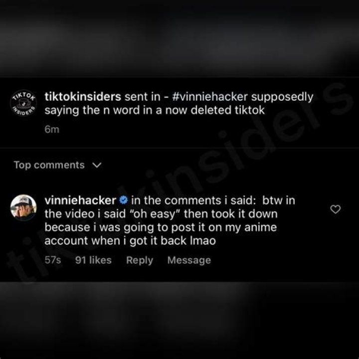 Tiktok: What Did Renata Ri Say During Interview With Vinnie Hacker? Racism Allegations and More Facts