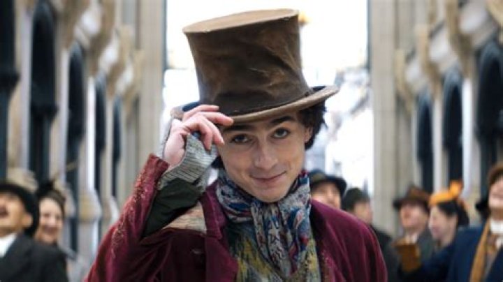 Timothee Chalamet Feared Wonka Was Just a 'Cash Grab'