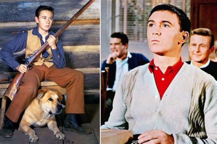 Tommy Kirk, ‘Old Yeller’ star, found dead at his Las Vegas home
