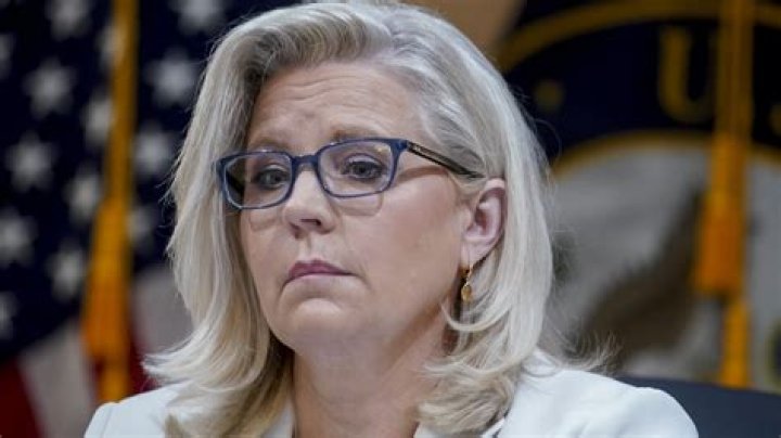 Twitter Has Declared The True Star Of The Jan 6 Hearings