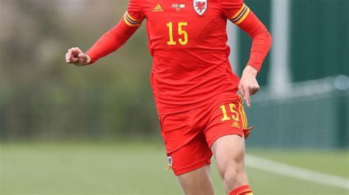 Wales name Euro 2020 squad with teen Rubin Colwill a shock inclusion alongside Gareth Bale and Aaron Ramsey