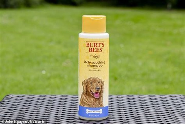 We test the barking mad: Designer shampoo for dogs!