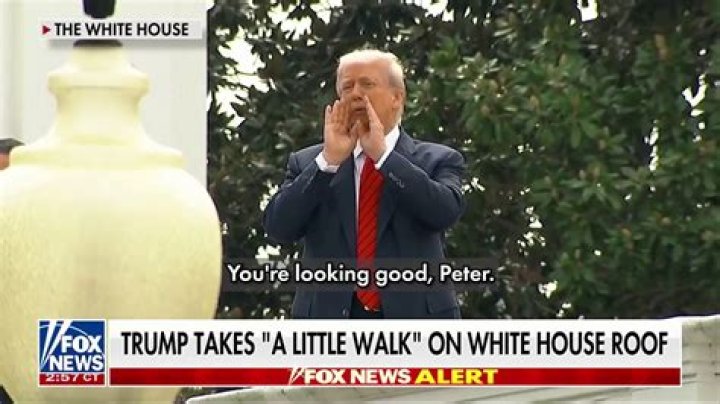 What Has Happened to Fox News Host Mark Steyn? Health & Illness Update, Fans Concerned