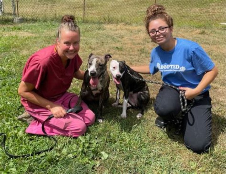 What is Victoria Principal doing now? The Dallas Star runs an animal rescue and rehabilitation center outside Los Angeles