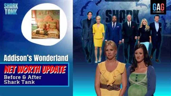 Whatever Happened To Addison's Wonderland After Shark Tank?