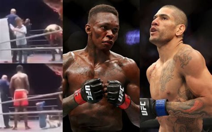 Who Beat Israel Adesanya In Kickboxing? How Many Times Has He Lost In kickboxing? Career And Net Worth Details