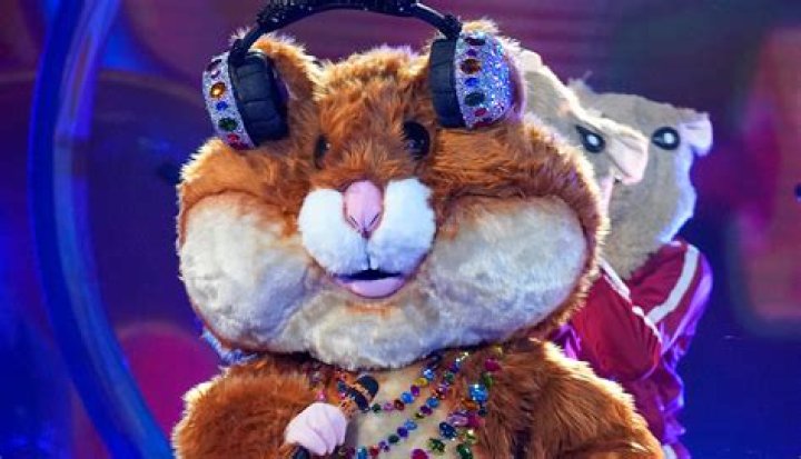 Who is Hamster on ‘The Masked Singer’ 2021? Spoilers, Clues & Guesses Revealed!