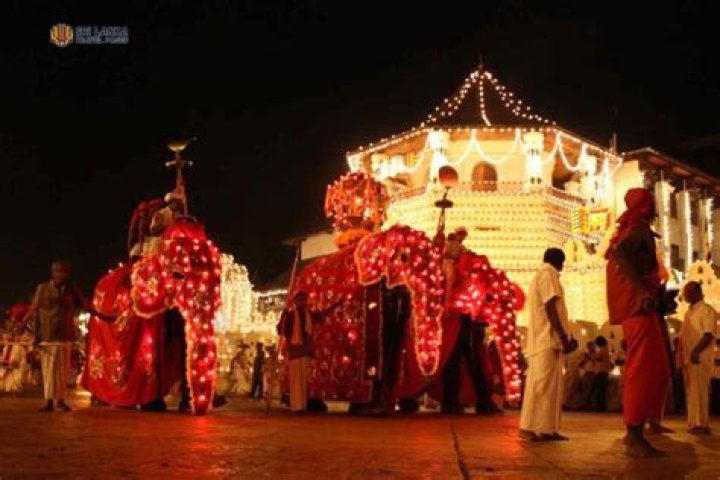 Who Is Kandy Bennett Spouse Shooter? Plea On Murder Meaning and Charges