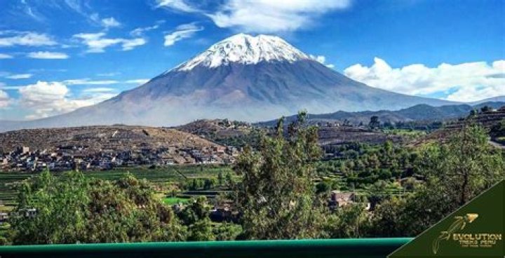 Who Is Misti Collins? 5 Members Of Collins Family Killed By Texas Convict Gonzalo Lopez