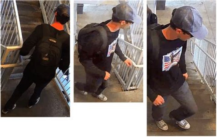 Who Was Suspect Adam Christopher Narmore Sheffield Murder Suicide? Wife Ashley Lynn McClung Found Dead