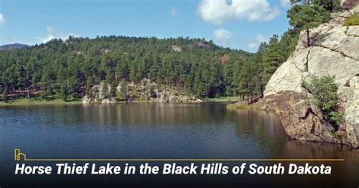 Why Does Jibri Live in South Dakota?